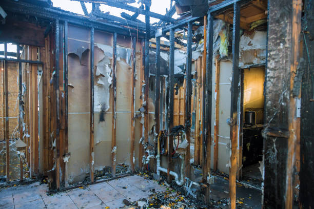 Professional Odor Removal technician working in Newport, OH