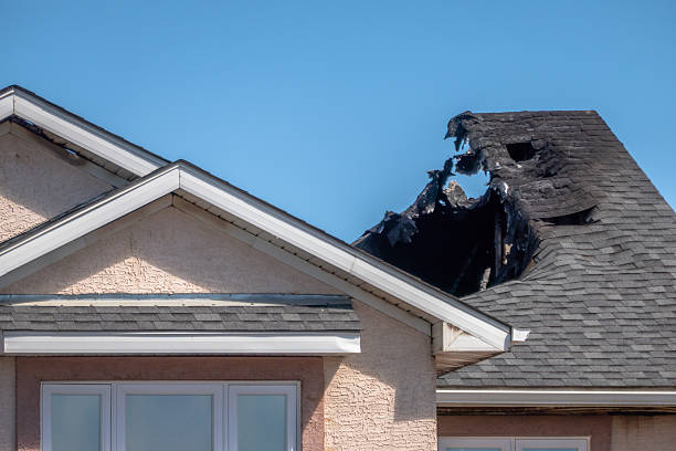 Top rated local Odor Removal specialists in Newport, OH